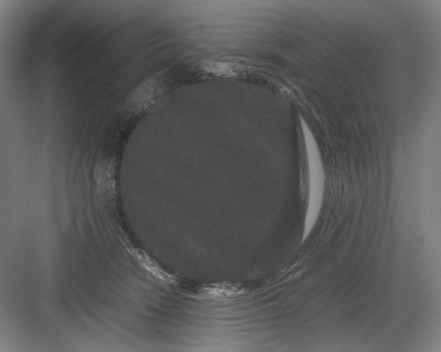 X0000082940466200702152218