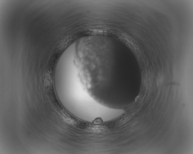 X0000082940467200702152219