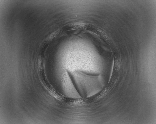 X0000082940468200702152219