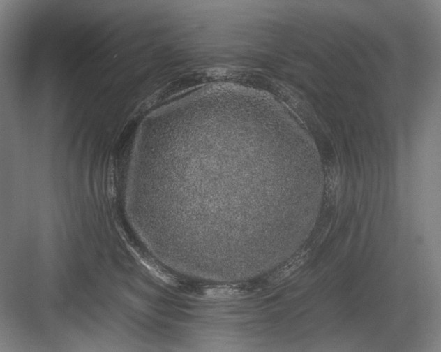 X0000082940470200702152219