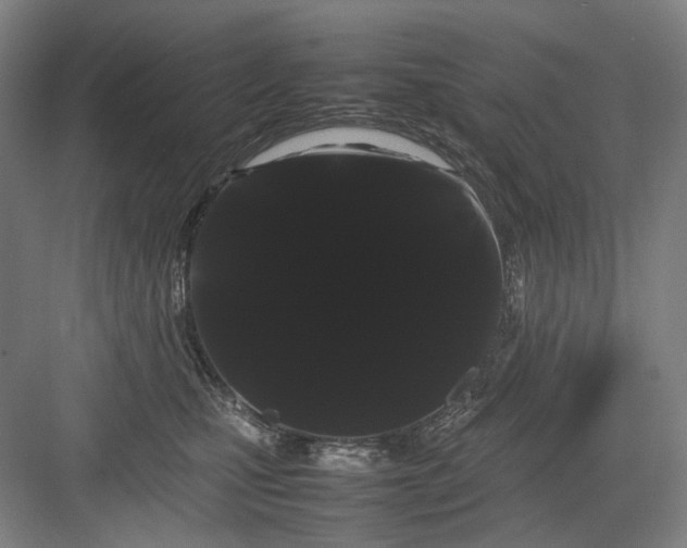 X0000082940471200702152219