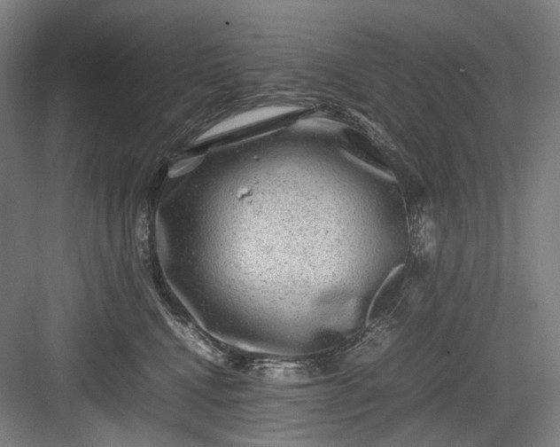 X0000082940472200702152219