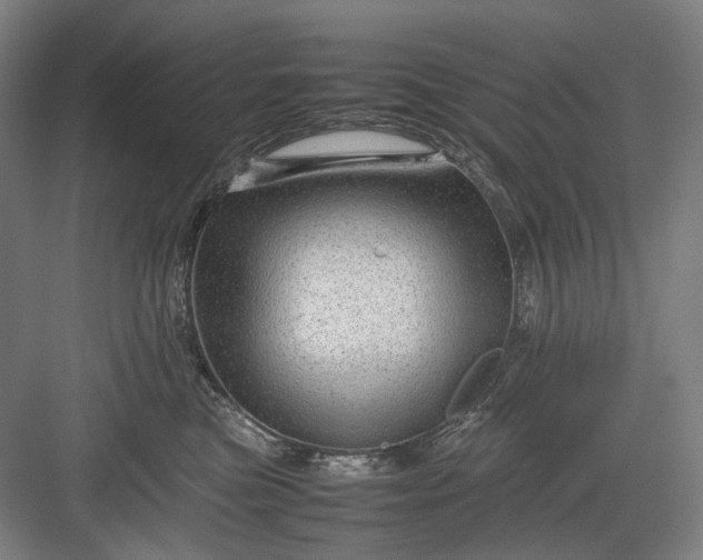 X0000082940473200702152219