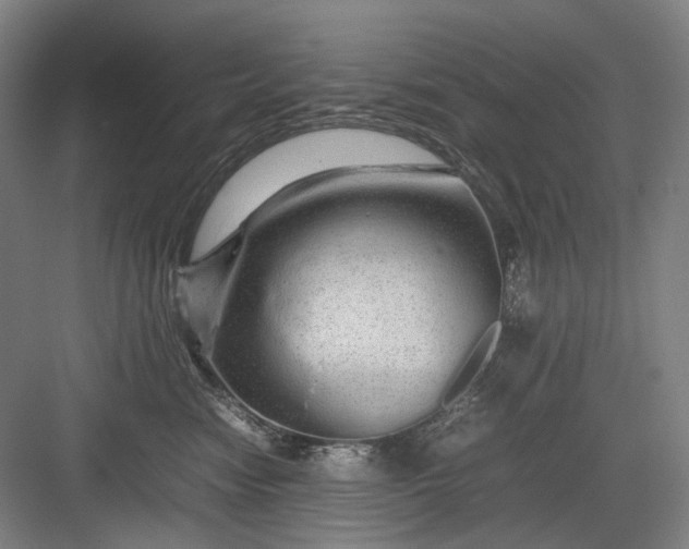 X0000082940474200702152219