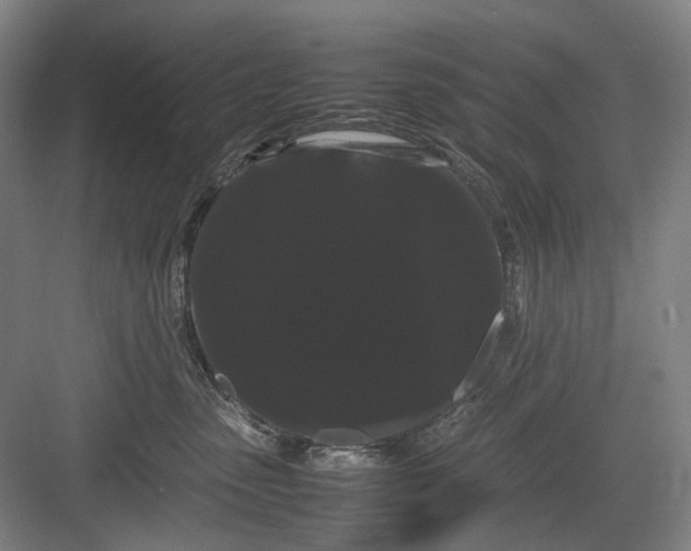 X0000082940475200702152219