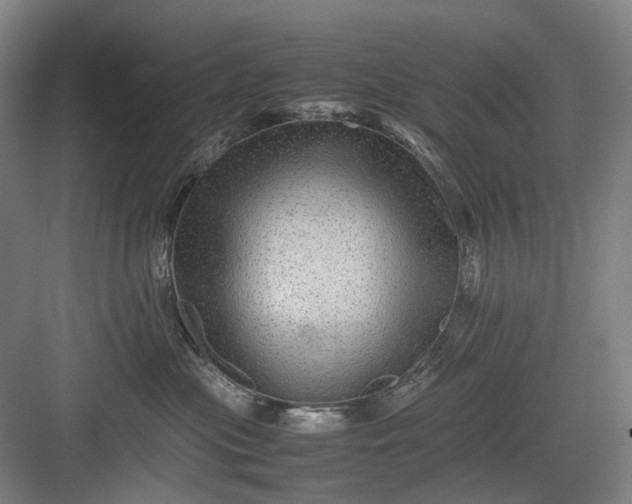 X0000082940477200702152219