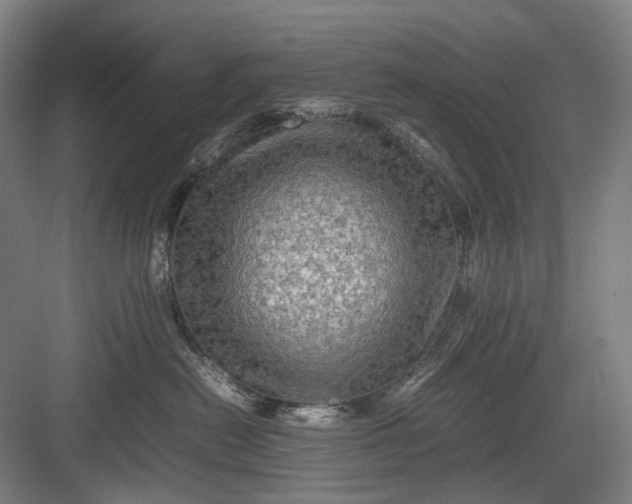 X0000082940478200702152219