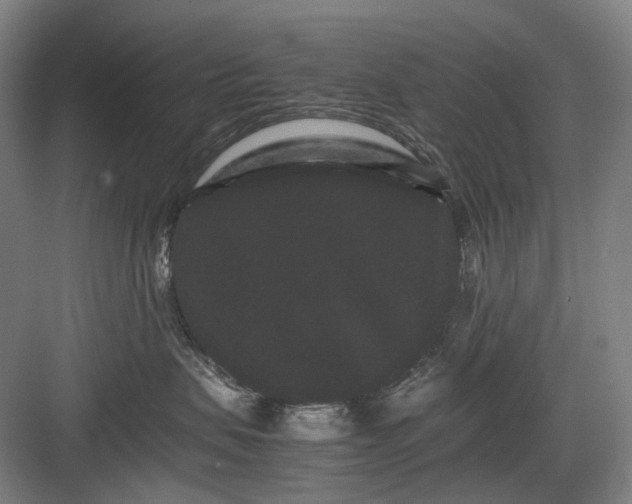 X0000082940479200702152219