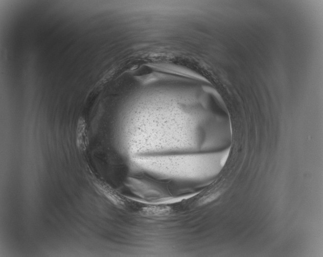 X0000082940480200702152219