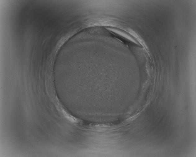 X0000082940481200702152218