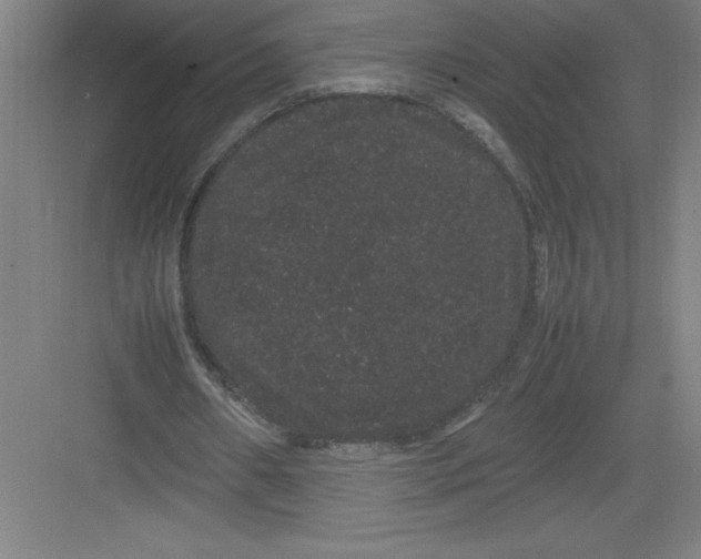 X0000082940482200702152218