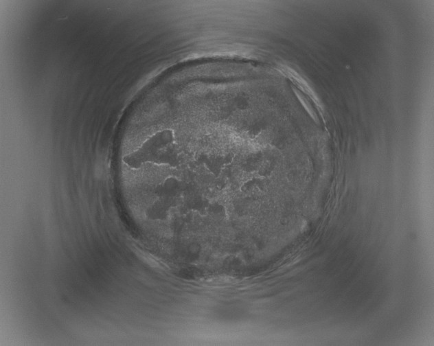 X0000082940483200702152218