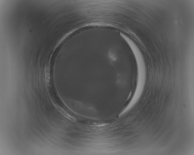 X0000082940484200702152218