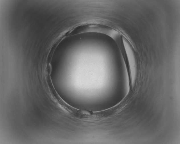 X0000082940485200702152218