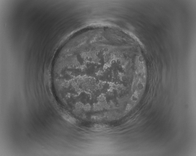 X0000082940487200702152218