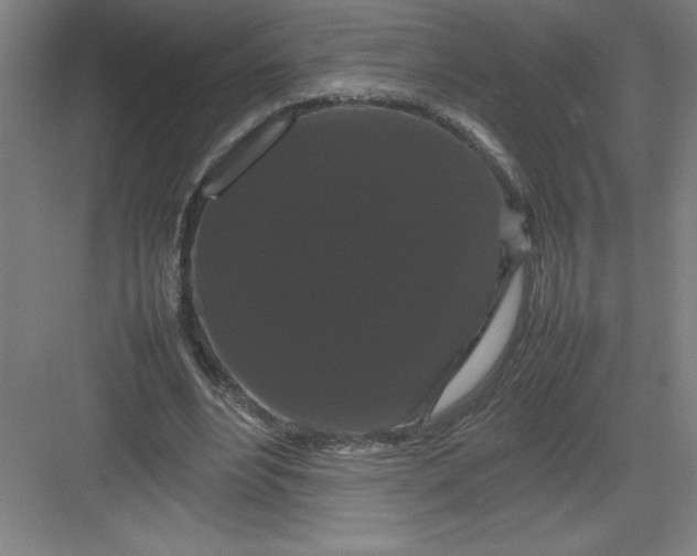 X0000082940488200702152218