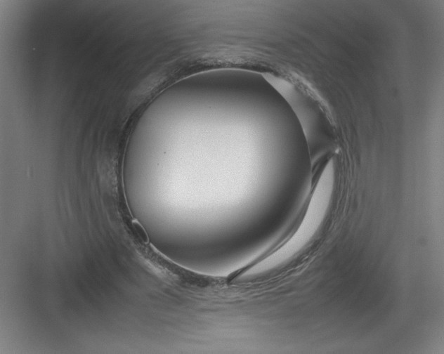 X0000082940489200702152218