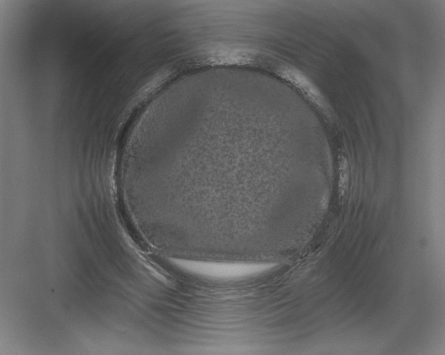 X0000082940490200702152218