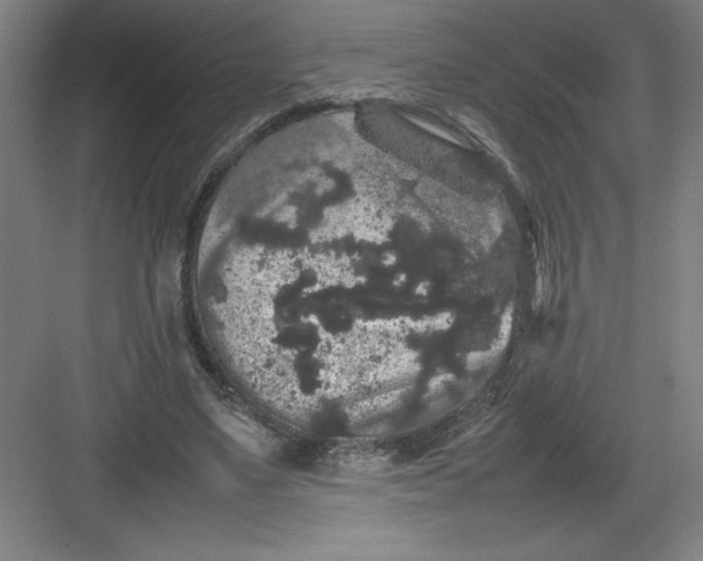 X0000082940491200702152218