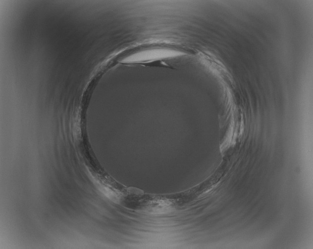 X0000082940492200702152218