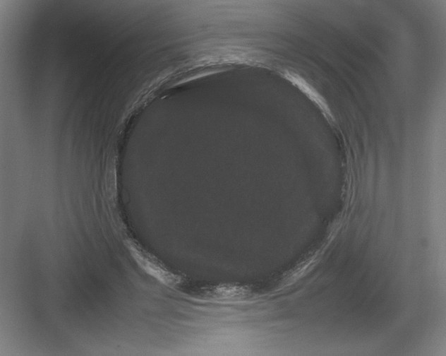 X0000082940493200702152218