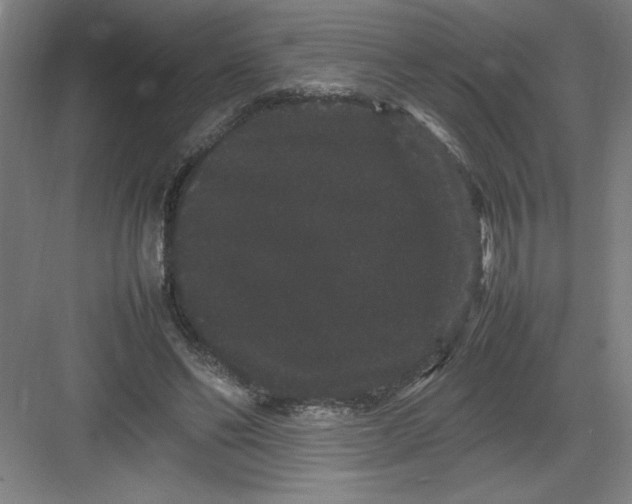 X0000082940494200702152218