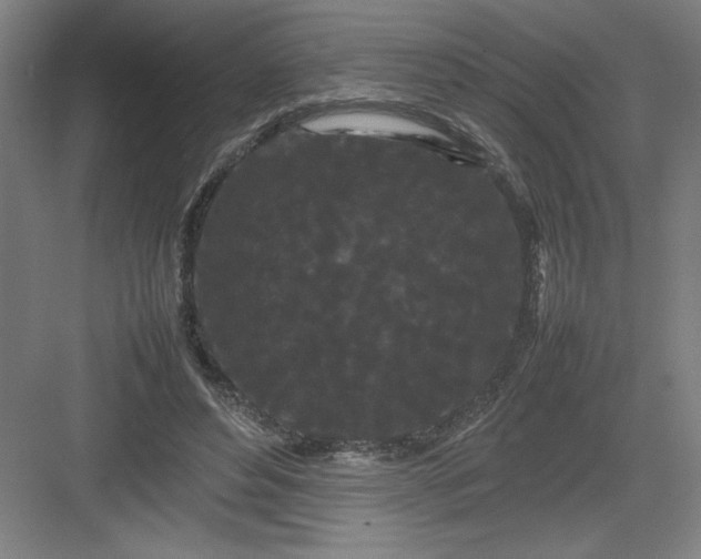 X0000082940496200702152218