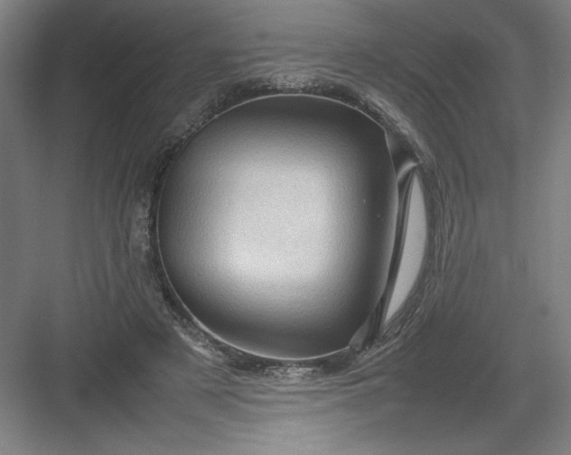 X0000082940497200702152218