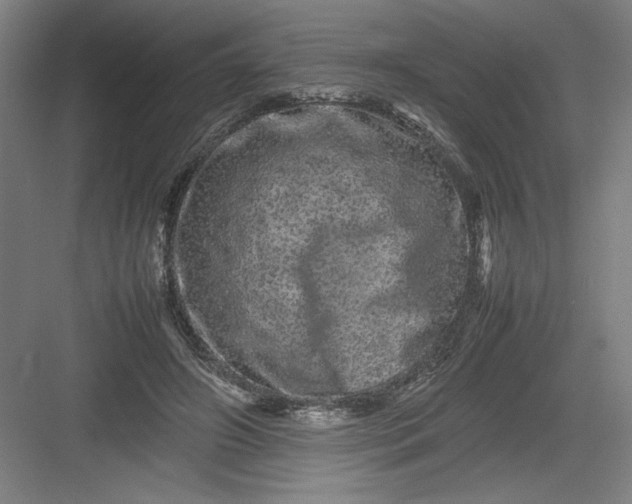 X0000082940498200702152218