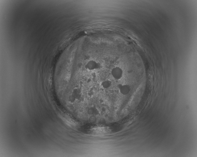 X0000082940499200702152218