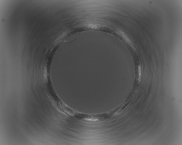 X0000082940500200702152218