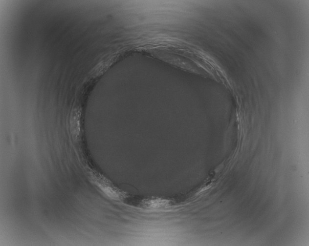 X0000082940501200702152218