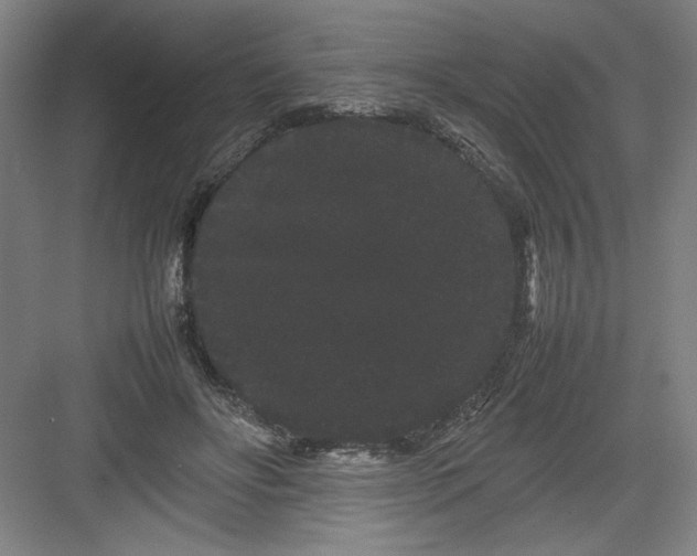 X0000082940502200702152218