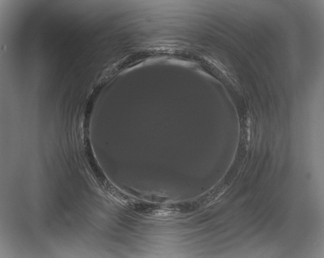 X0000082940504200702152218