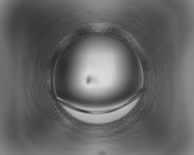 X0000082940505200702152218