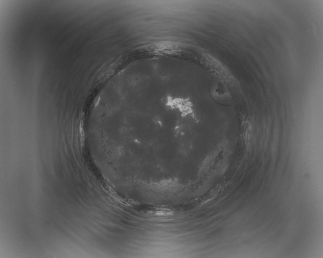 X0000082940506200702152217