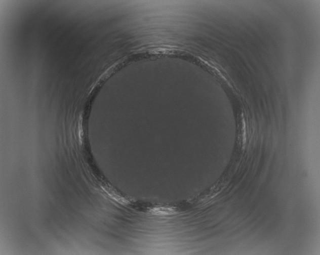 X0000082940508200702152217