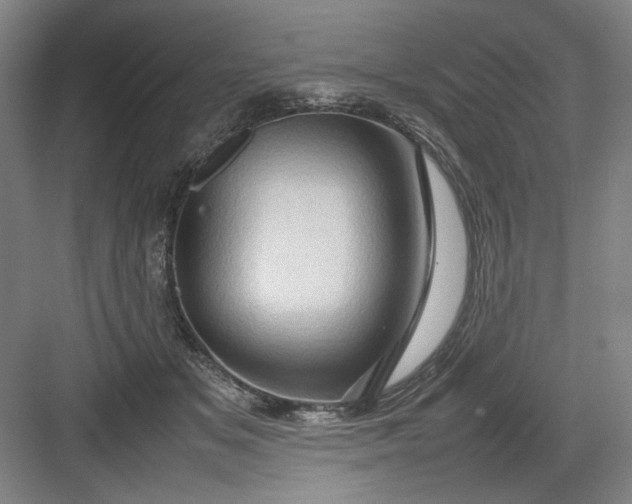 X0000082940509200702152217