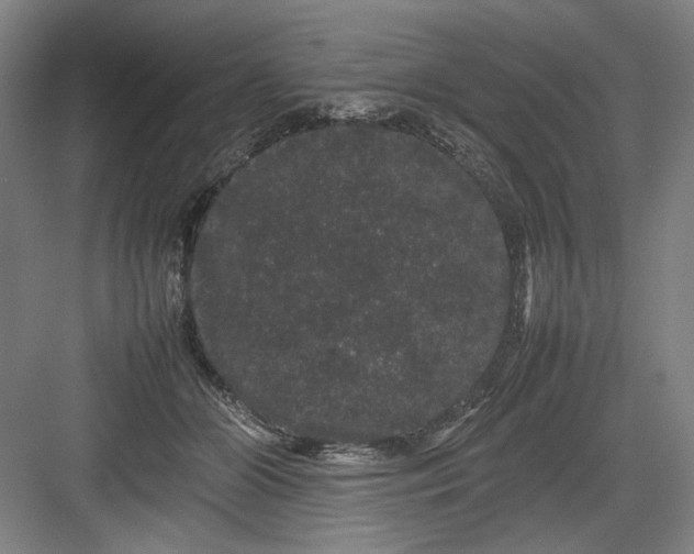 X0000082940510200702152217