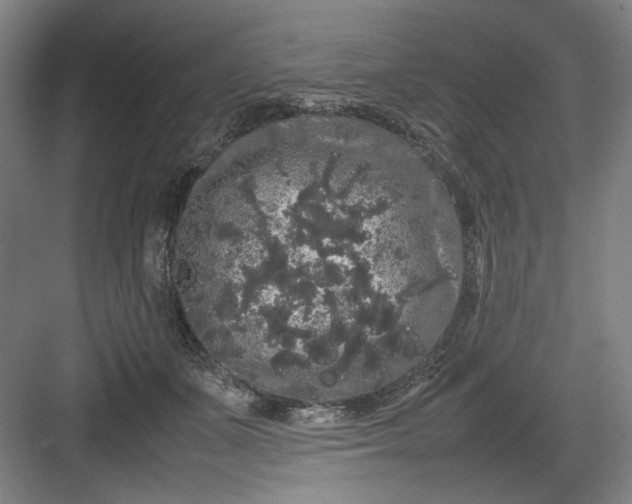 X0000082940511200702152217