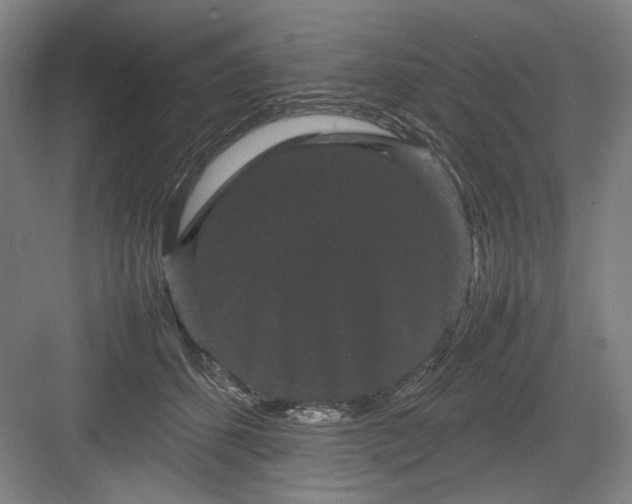 X0000082940512200702152217