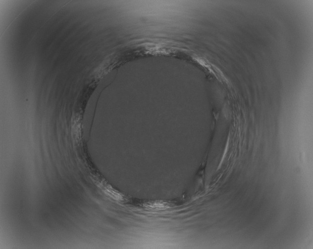 X0000082940513200702152217