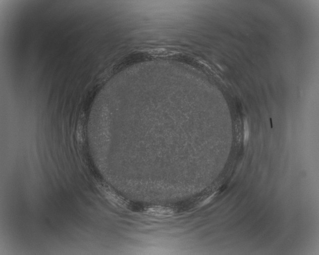 X0000082940515200702152217