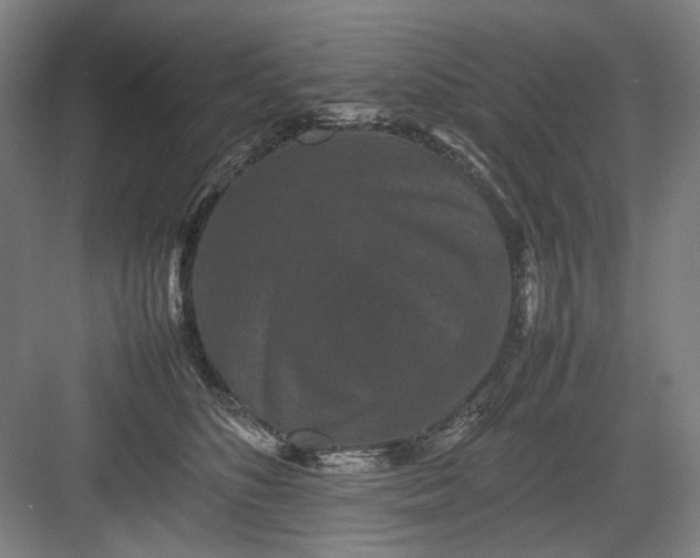 X0000082940516200702152217