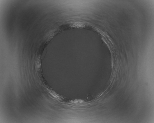 X0000082940517200702152217