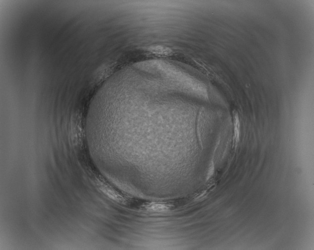 X0000082940518200702152217