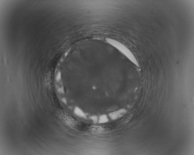 X0000082940519200702152217