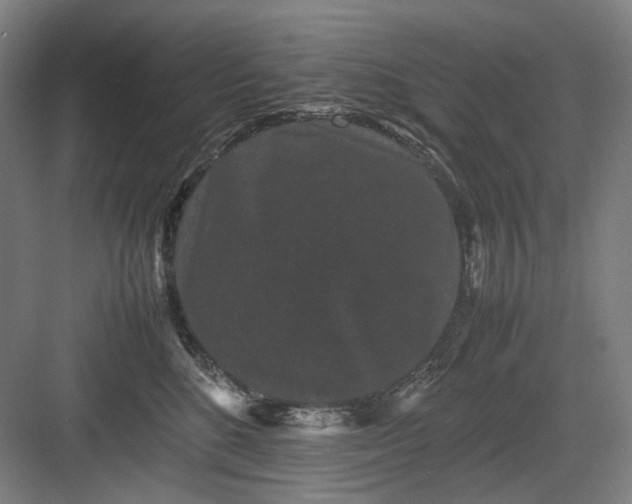 X0000082940520200702152217