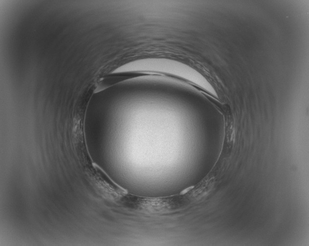 X0000082940521200702152217