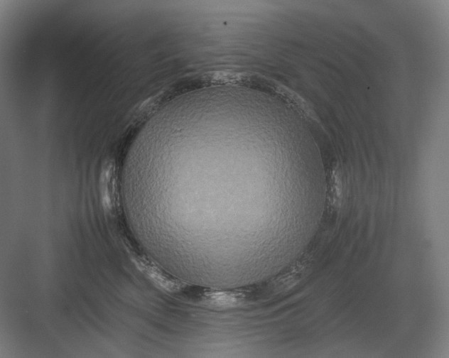 X0000082940522200702152217